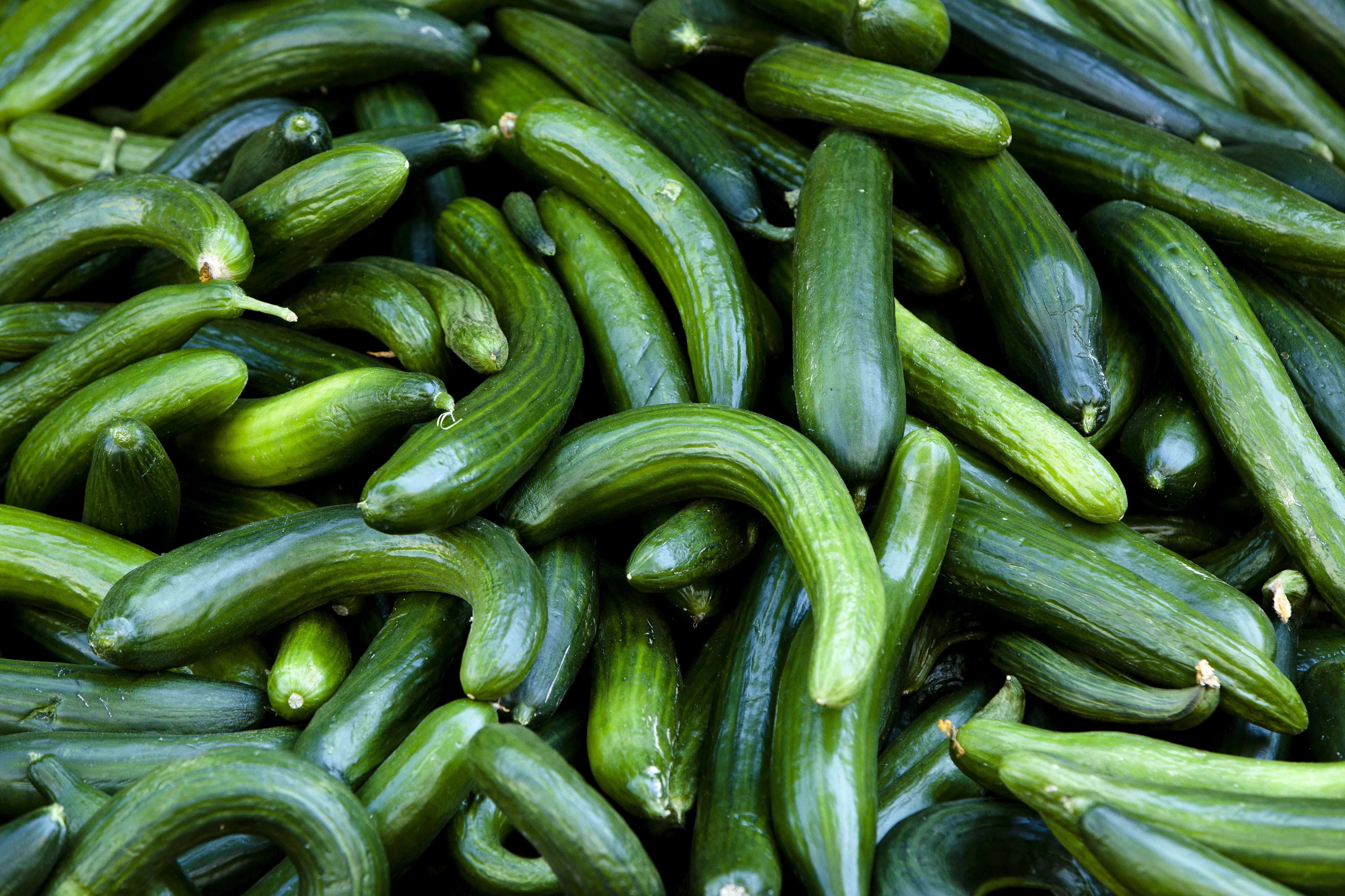 Britain EU Rules