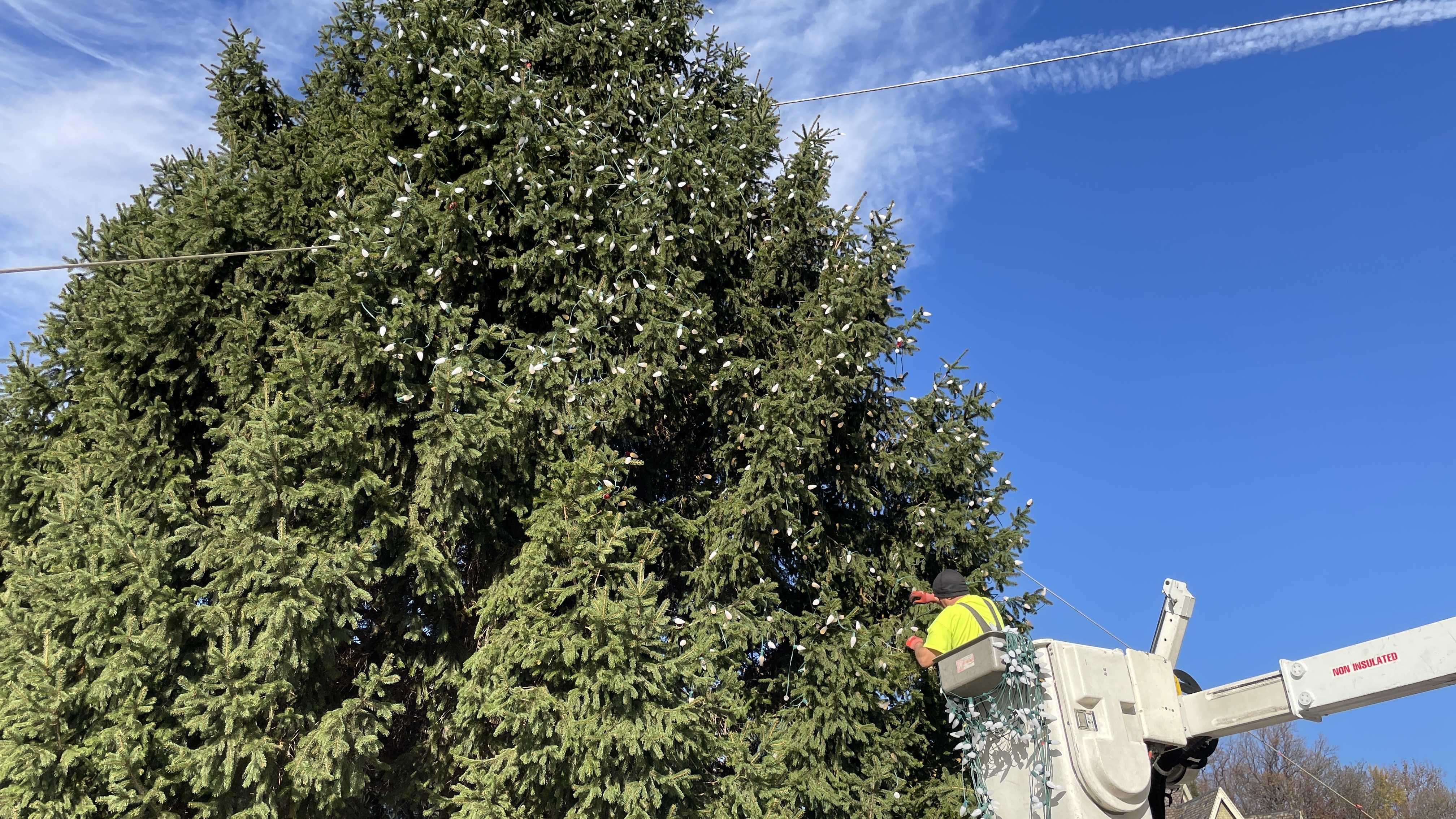 Bethlehem Christmas Tree
