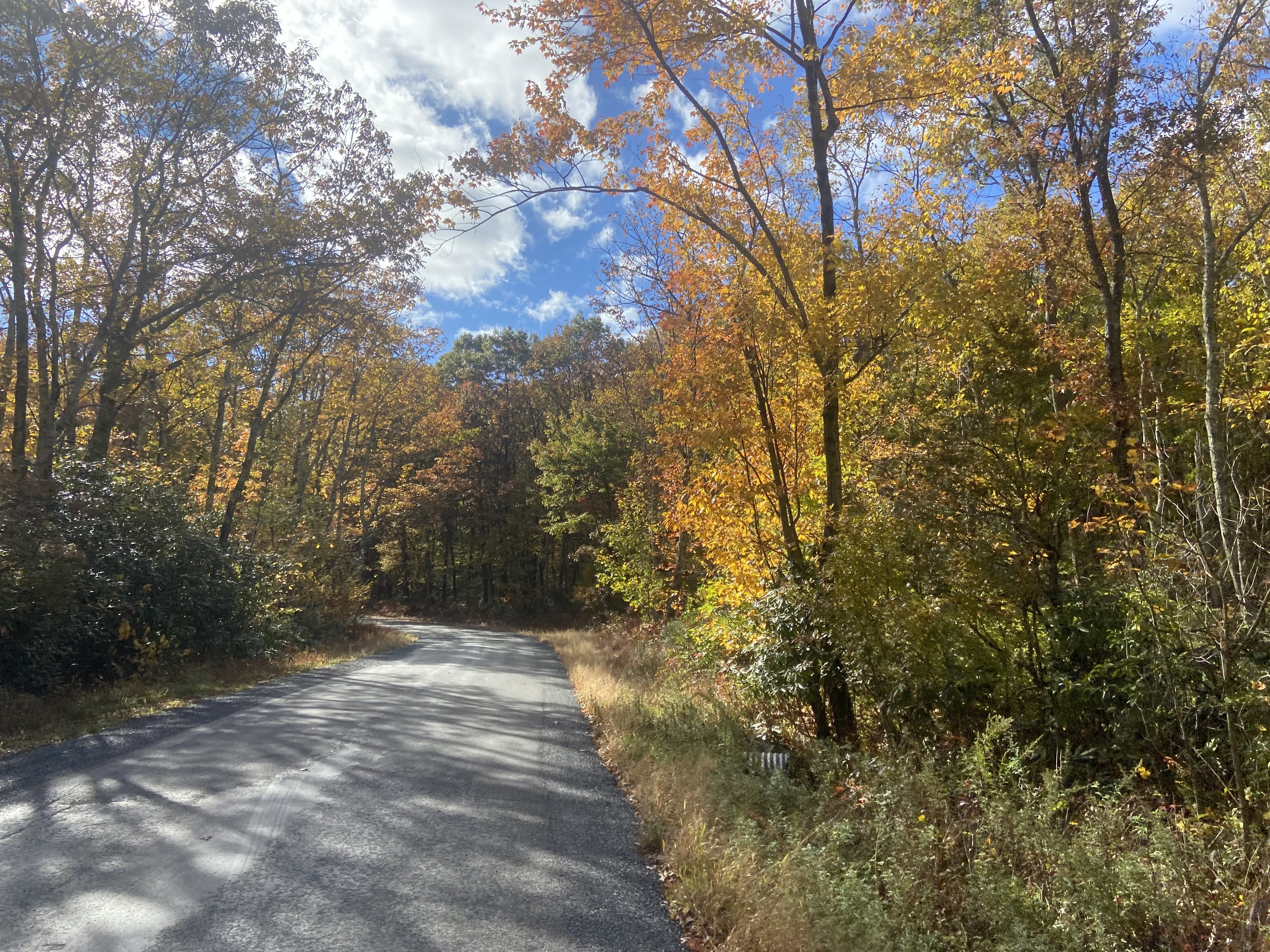 ‘Full of beautiful fall color’: Peak fall foliage expected in the Lehigh Valley this week