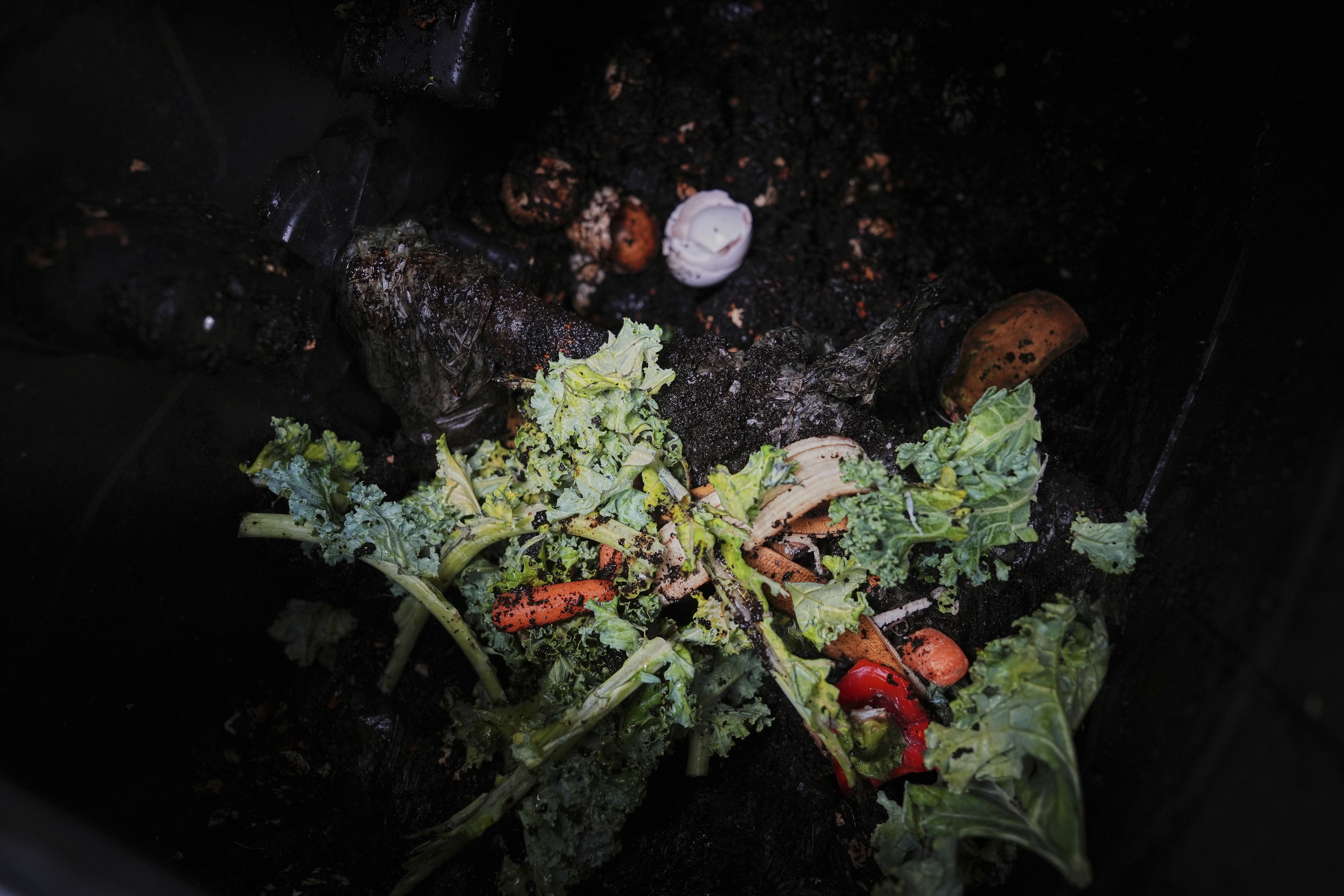 Palmer Township landscaper launches composting pilot program