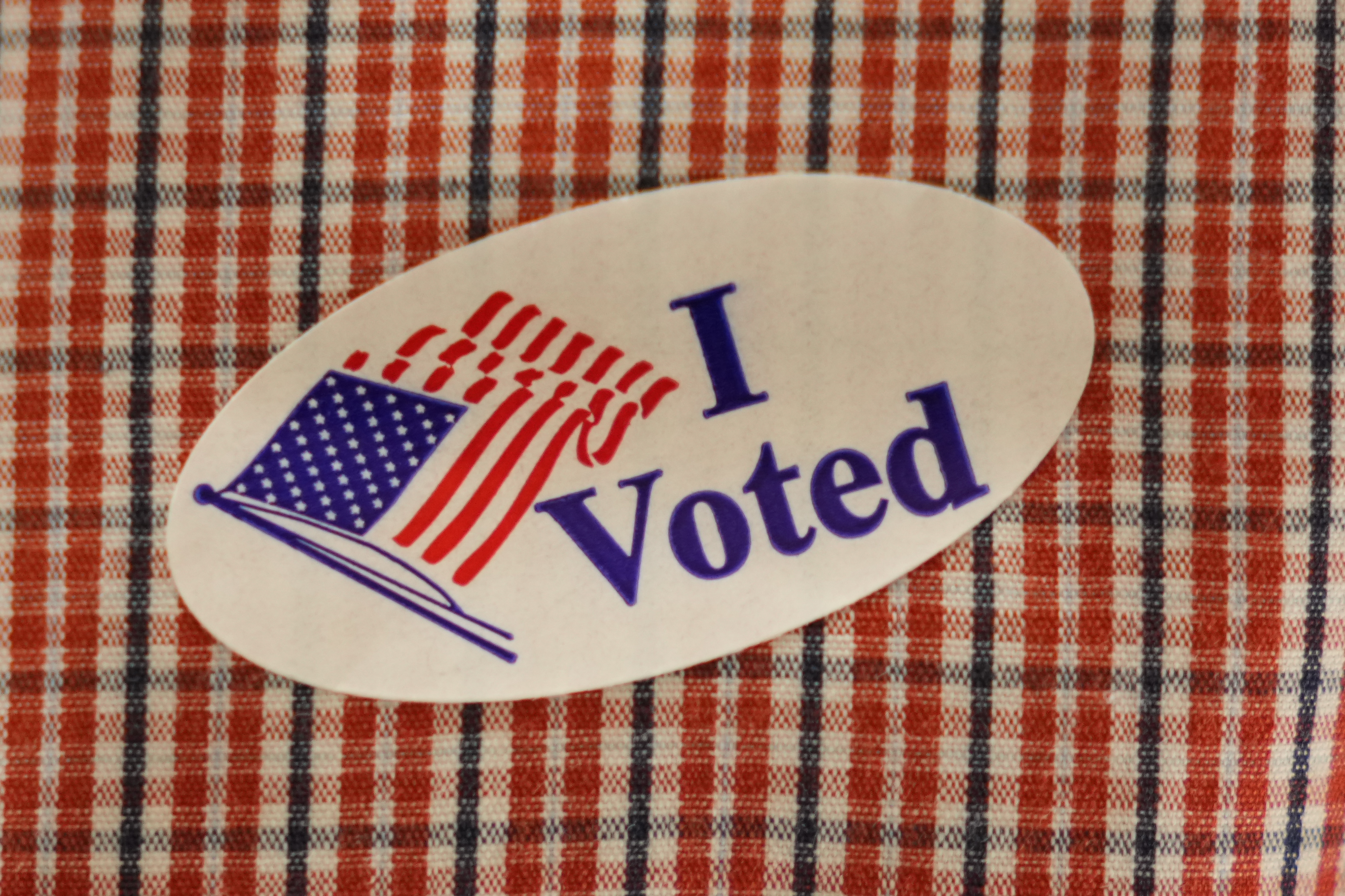 Election Day 2025: A procrastinator's guide and Q&A to bring you up to speed