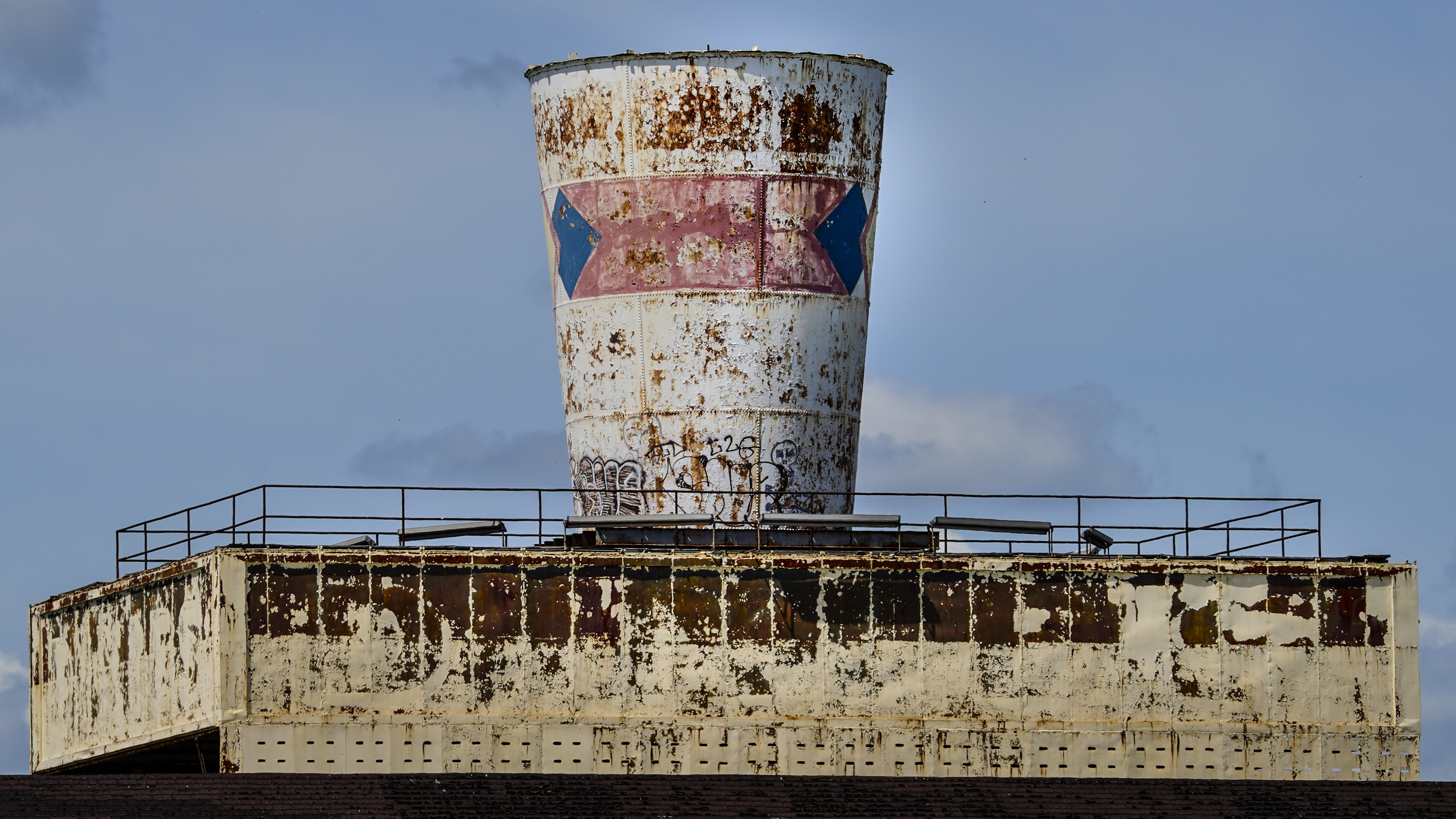 Dixie Cup plant